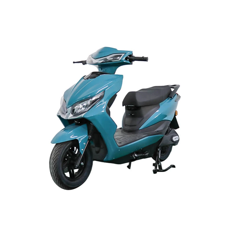Xe đạp điện chung xe người lớn