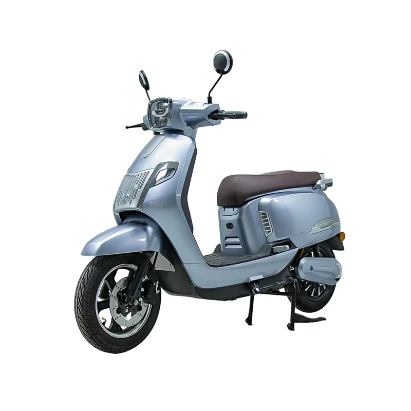 Xe máy điện cho người lớn 10 inch 800W xe máy