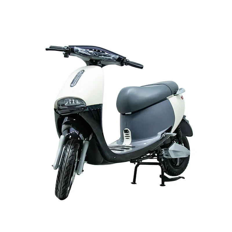 Xe máy điện với xe máy 10 inch 1000W